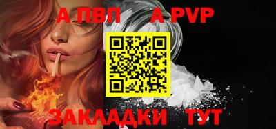 кокс Кингисепп