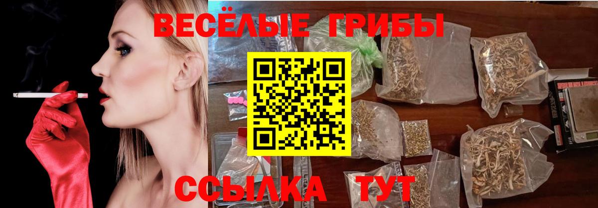 цены наркотик  Галлюциногенные грибы Psilocybine cubensis  Вход с VPN  Дзержинск 